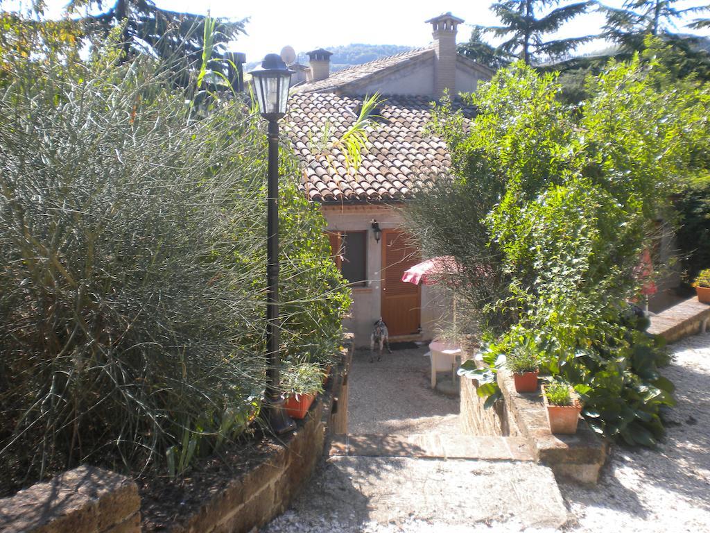 Agriturismo Le Vergare Offagna Exterior foto